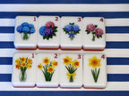 Nantucket Dreams American Mahjong Tile Set (Pre-Order)