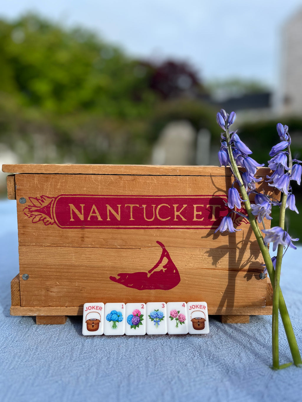Nantucket Dreams American Mahjong Tile Set (Pre-Order)
