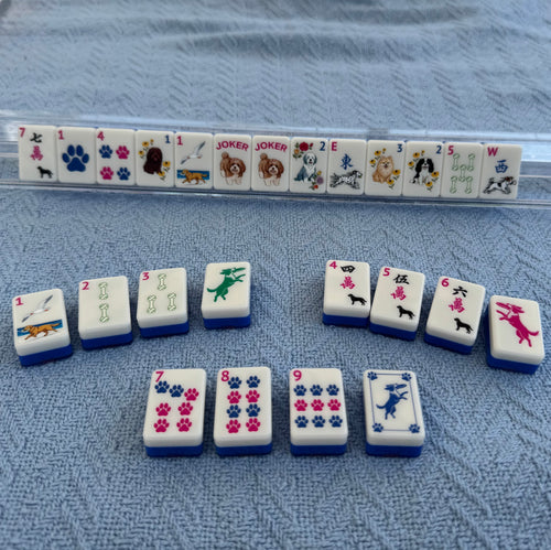 Dog Days of Summer American Mahjong Tile Set (Pre-Order)